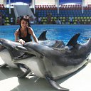 ���� ����������, ������, 42 ���� - ��������� 4 ������� 2012