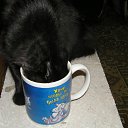  ok, --, 44  -  13  2010   