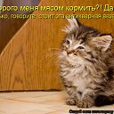 ���� ��������, �������� - ��������� 11 ����� 2012 � ������ �������� ��������