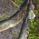 ���� Aleksey, ������-��-����, 54 ���� - ��������� 4 ������� 2012 � ������ ���� ����������