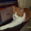 ���� �����, ������, 53 ���� - ��������� 8 ���� 2010 � ������ ���� ���.�