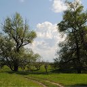 ���� ������, ������, 63 ���� - ��������� 6 ���� 2011 � ������ ��������. �����