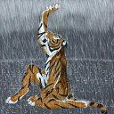 ���� �����, ���������, 28 ��� - ��������� 17 ������� 2010 � ������ �������