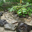 ���� �����, ������, 60 ��� - ��������� 22 ������ 2012 � ������ �������