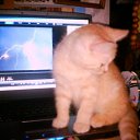 ���� N@tasha, ����������� - ��������� 11 ������� 2009 � ������ ������� ������� � ����