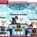  **royal C@nin**, , 24  -  22  2011   PetLove