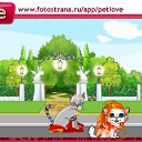 ���� ����, �����������, 23 ���� - ��������� 12 ������ 2010 � ������ �PetLove�