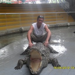 ���� �������, ��������, 54 ���� - ��������� 4 ������� 2013