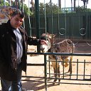 ���� �������, �����������, 51 ��� - ��������� 6 ������� 2011