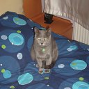 ���� Ender, �������, 53 ���� - ��������� 9 ����� 2012 � ������ ���� ����������