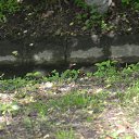 ���� Pavel, ����, 64 ���� - ��������� 23 ���� 2013 � ������ ���������