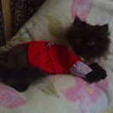  E.lena, , 62  -  28  2010    