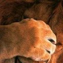 ���� ����, ������ ��������, 41 ��� - ��������� 12 ������� 2009 � ������ ������ ����