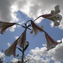 ���� �������, ������, 28 ��� - ��������� 14 ������� 2010