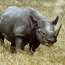 ���� Edgarihe, ����������� - ��������� 5 ������� 2011 � ������ ����� �������� ���