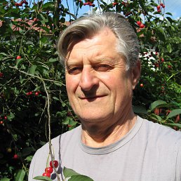 ���� E������, ����-�������, 85 ��� - ��������� 15 ������ 2013