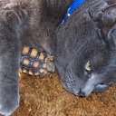 ���� ����� - ���������� ��������!!!, �����������, 56 ��� - ��������� 13 ������� 2009 � ������ ��������� (�����)�