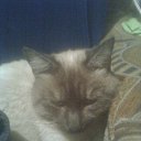  , --, 56  -  1  2012    