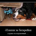 ���� �����(������� �������� � Ѹ��������), �������-���������, 46 ��� - ��������� 16 ������� 2012 � ������ ���� ����������