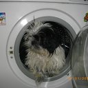 ���� ���� �-238, ������ - ��������� 24 ���� 2012 � ������ ���� ����