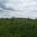 ���� ��������, ������, 63 ���� - ��������� 24 ���� 2012 � ������ ���� ����������