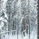  Serzh Van Der Maaremaan,  -  1  2009    