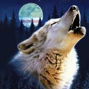 ���� �����, ������ - ��������� 25 ����� 2012 � ������ ���� ����������