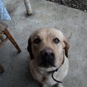 ���� ����, ������, 40 ��� - ��������� 12 ��� 2012 � ������ �������