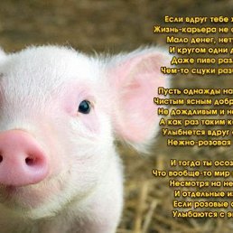 ���� �������, ����, 49 ��� - ��������� 10 ���� 2012