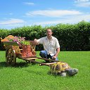 ���� ������, ��������� - ��������� 8 ������ 2012 � ������ ���� ����������