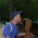 ���� ���������, ������, 41 ��� - ��������� 8 ������ 2012