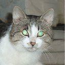 ���� ���� �., ������, 40 ��� - ��������� 27 ������ 2012 � ������ ���� ����������