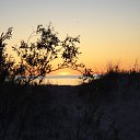  , , 32  -  21  2011   !Mazirbe