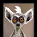 ���� �����, ������������, 56 ��� - ��������� 25 ���� 2013