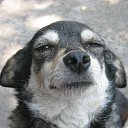 ���� �����, ������ - ��������� 12 ���� 2010 � ������ ���������