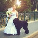 ���� ����, ����, 33 ���� - ��������� 18 ���� 2013 � ������ ���� ����������