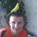 ���� �������, �����, 42 ���� - ��������� 20 ���� 2009