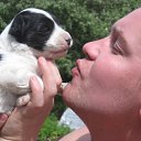 ���� �������, ������ ��������, 38 ��� - ��������� 25 ���� 2012