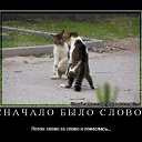  ,  -  12  2009    !
