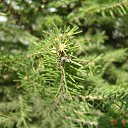 ���� ��������, ����������, 47 ��� - ��������� 12 ������ 2012 � ������ �������