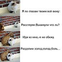 ���� Sveta, ������, 51 ��� - ��������� 12 ������ 2012 � ������ ��������