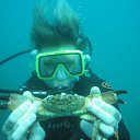 ���� �����, ���������, 40 ��� - ��������� 16 ���� 2011 � ������ ��������