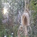 ���� �����, �����-���������, 59 ��� - ��������� 26 ������� 2010 � ������ �������