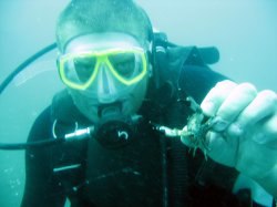 �����, ������������, 50 ���