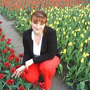 ���� �����, ������, 53 ���� - ��������� 27 ��� 2013 � ������ ���� ����������