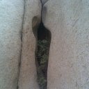 ���������� �� EROOMIR.RU �� ������� ���� ����