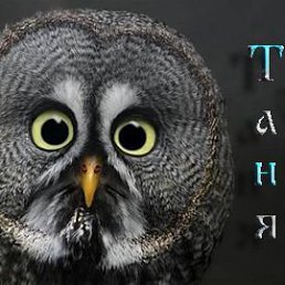 ������������ )