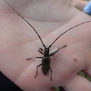 ���� �������, ���, 67 ��� - ��������� 31 ���� 2013 � ������ ������ �� ���� ��