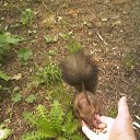 � ������ �� �������....��������! �� ������� ���� ����������