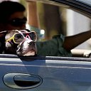 ���� ������, ������������ - ��������� 21 ������ 2013